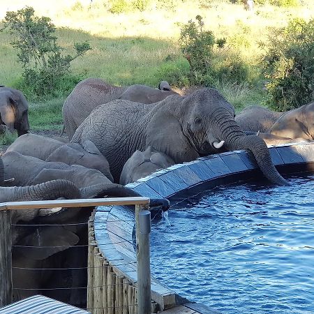 Nambiti Plains Lodge Ladysmith Eksteriør bilde