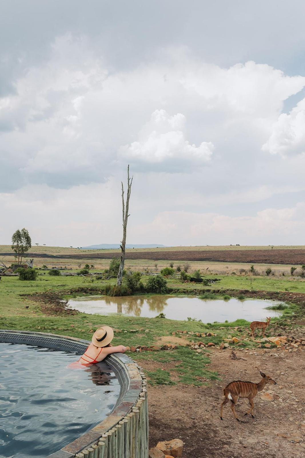 Nambiti Plains Lodge Ladysmith Eksteriør bilde