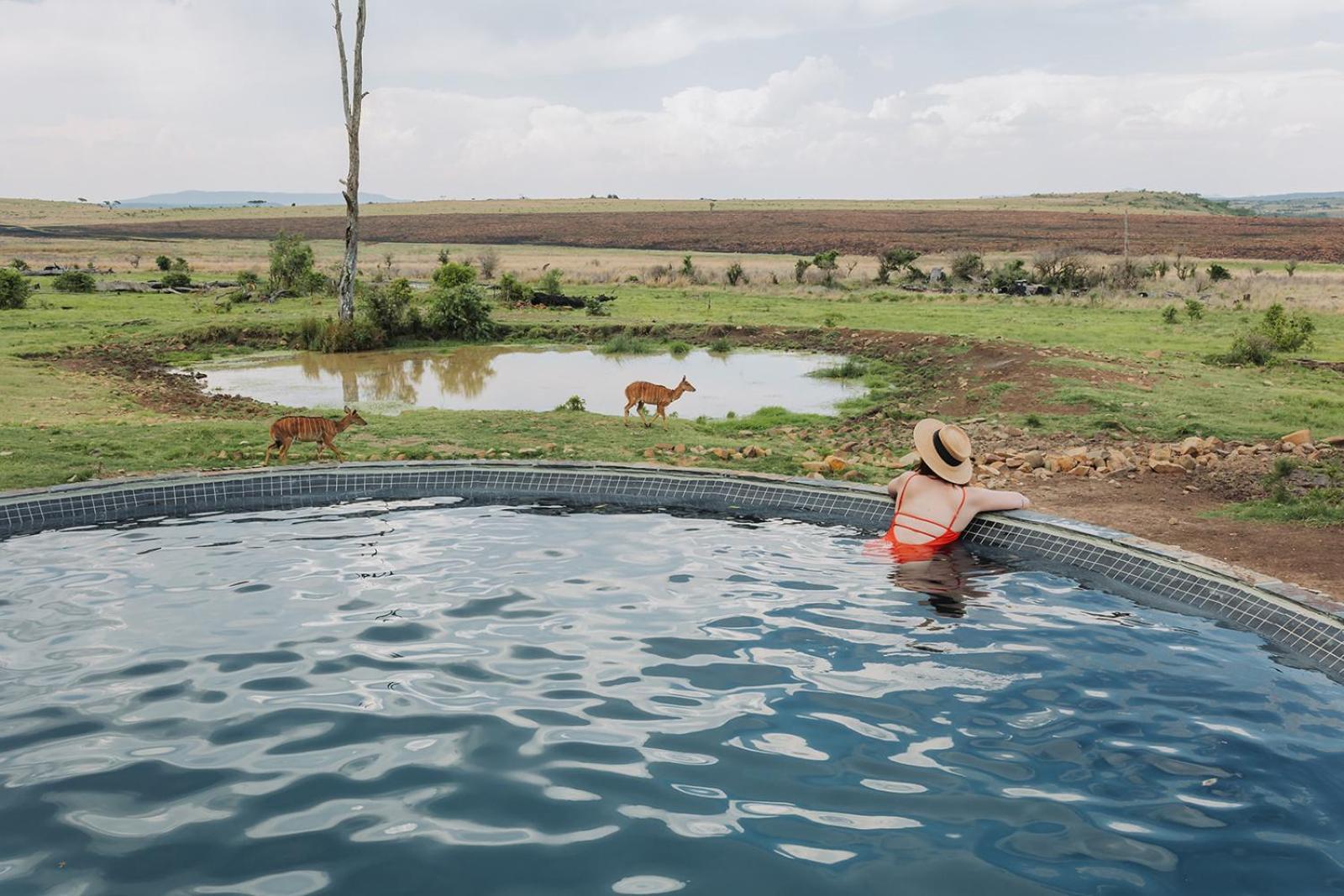 Nambiti Plains Lodge Ladysmith Eksteriør bilde