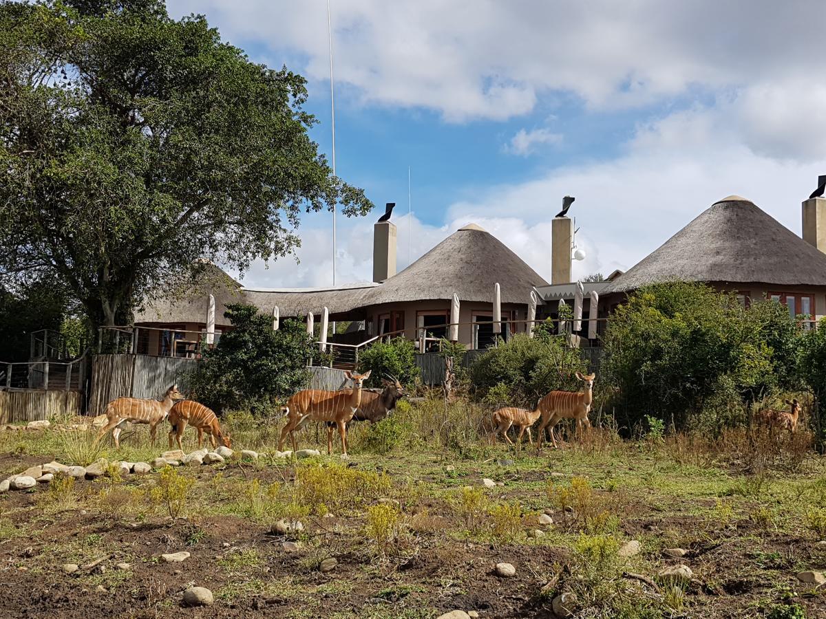 Nambiti Plains Lodge Ladysmith Eksteriør bilde