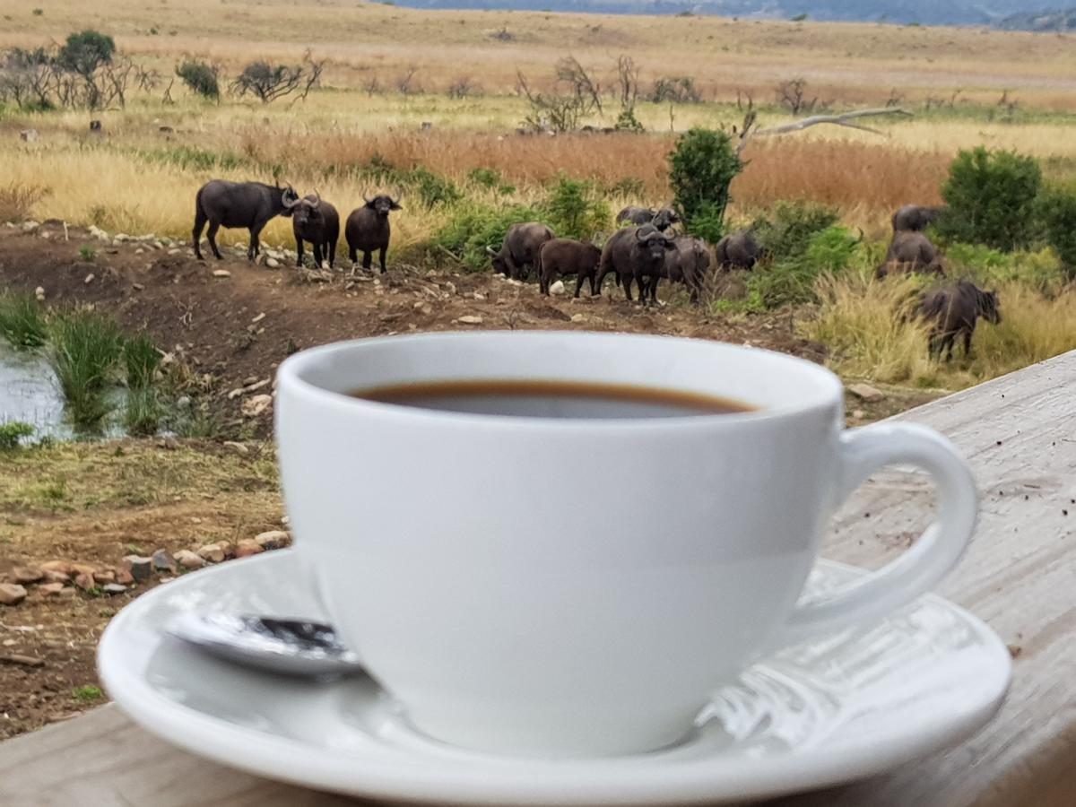 Nambiti Plains Lodge Ladysmith Eksteriør bilde
