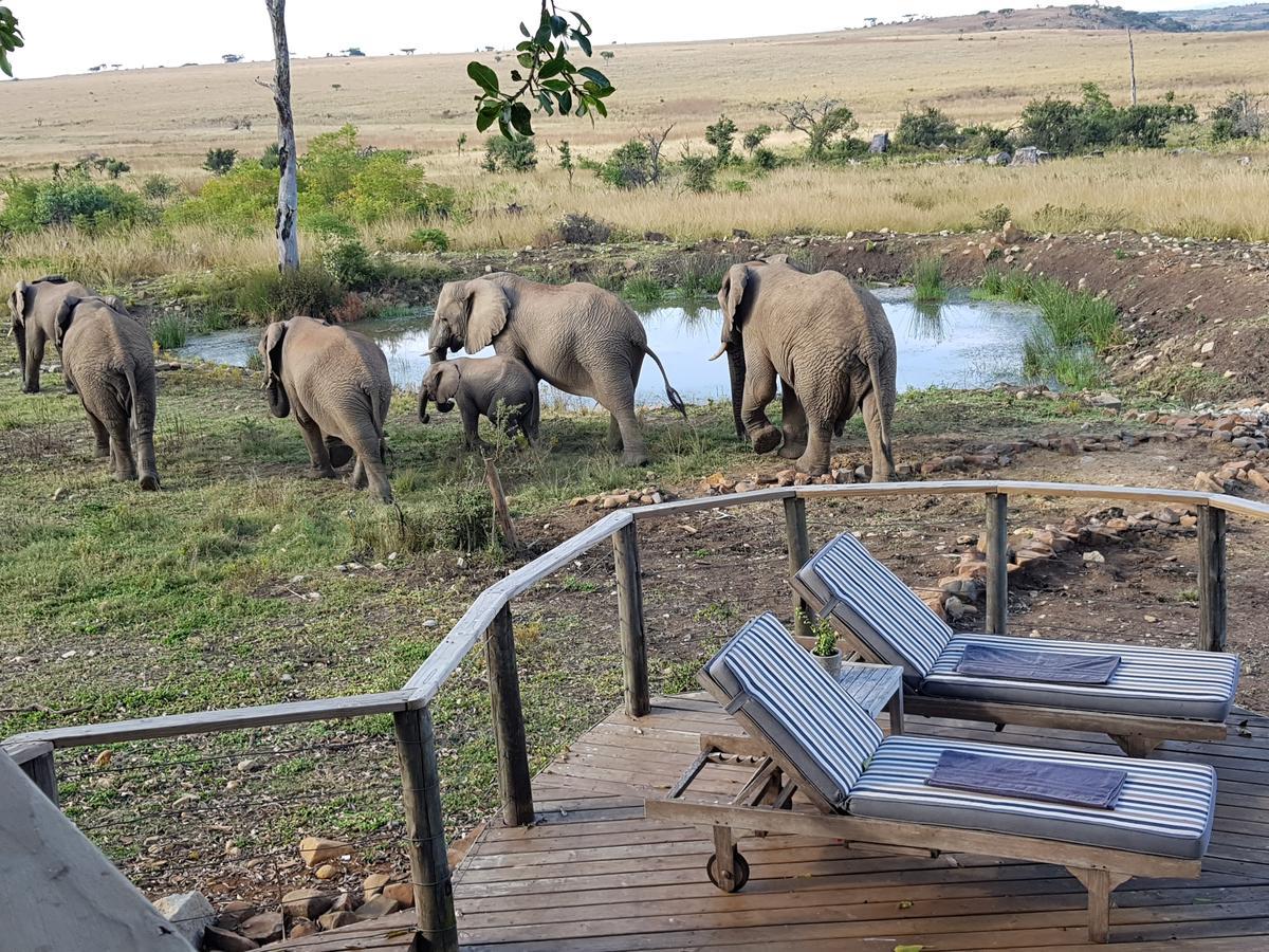 Nambiti Plains Lodge Ladysmith Eksteriør bilde
