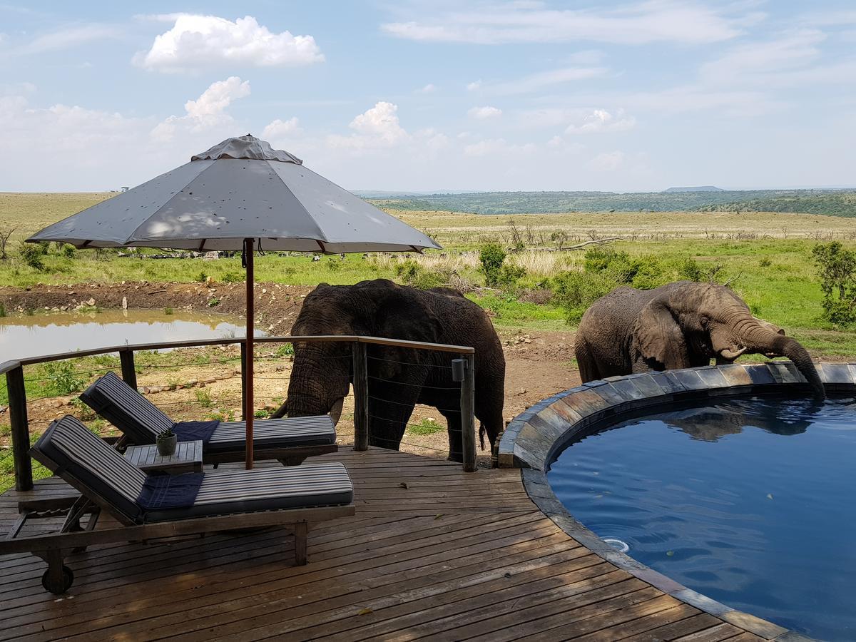 Nambiti Plains Lodge Ladysmith Eksteriør bilde